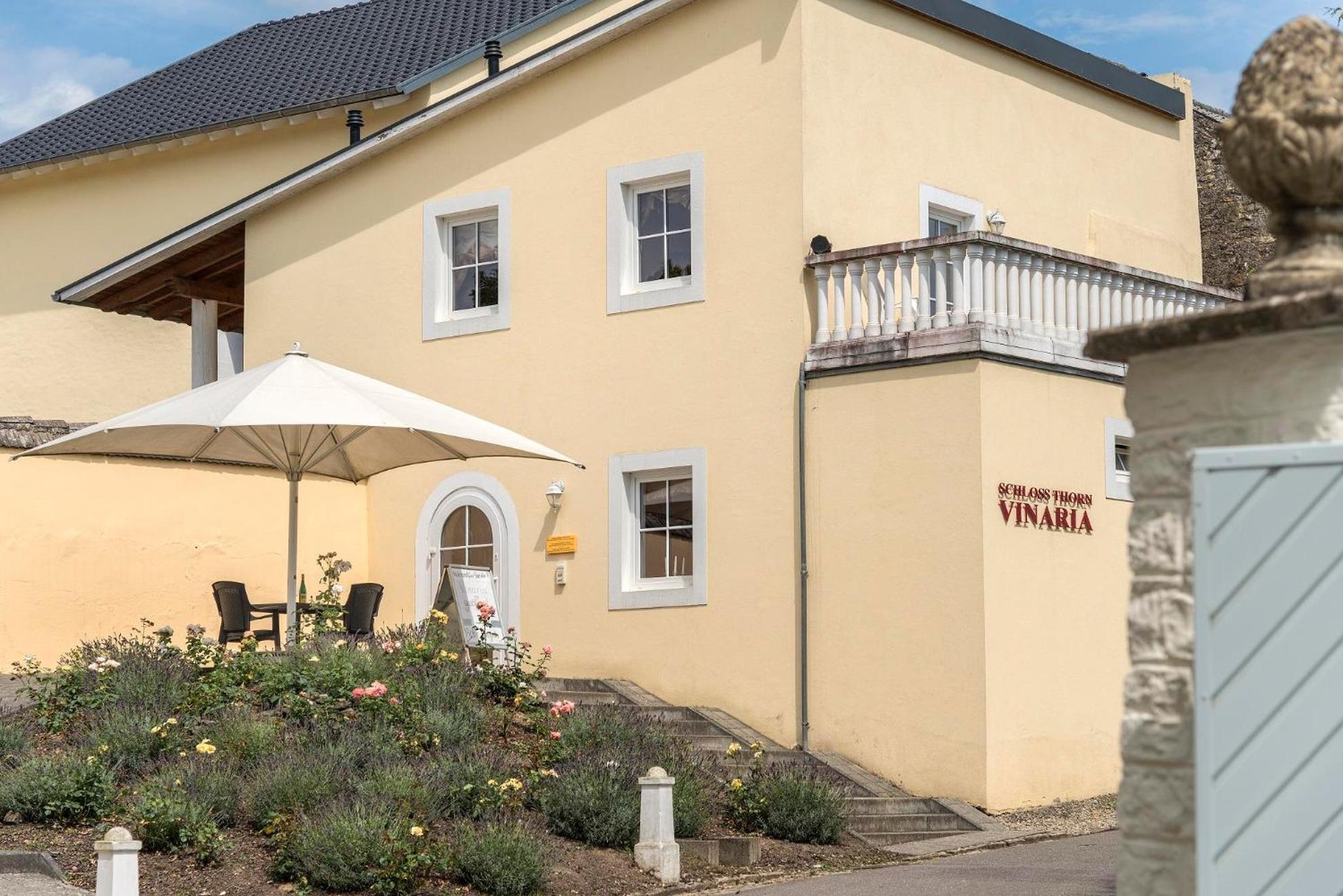 Schloss Thorn Palzem Exterior photo